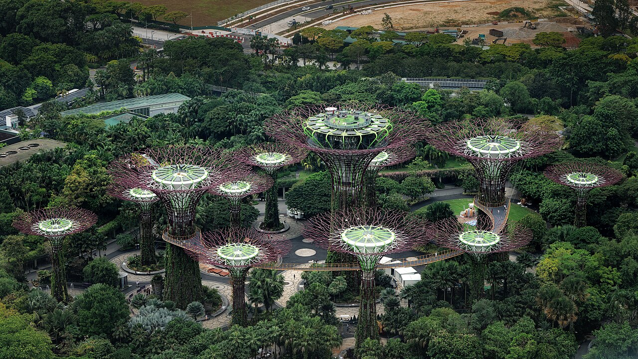 Supertree Grove at Gardens by the Bay